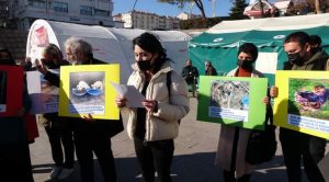 Hayvanları yaşam alanları barınaklar değil doğadır