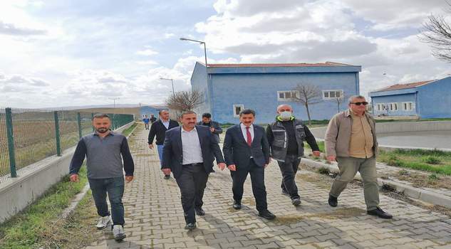 İki başkan sokak hayvanları için bir araya geldi