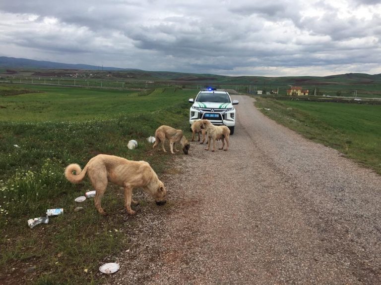 Son tarih 31 Aralık 2025