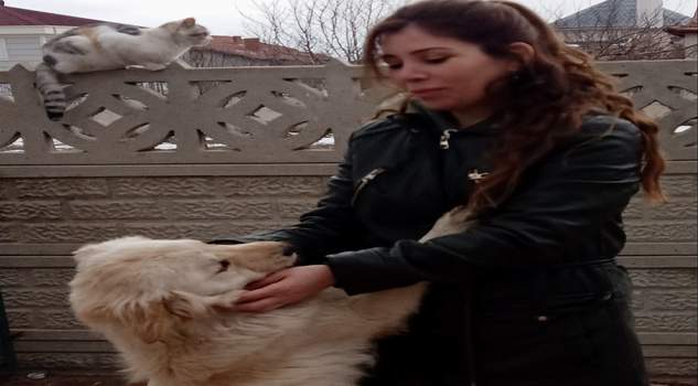 Akbaş: Can dostlarımıza sahip çıkıyoruz