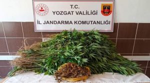 Jandarma’dan uyuşturucu operasyonu