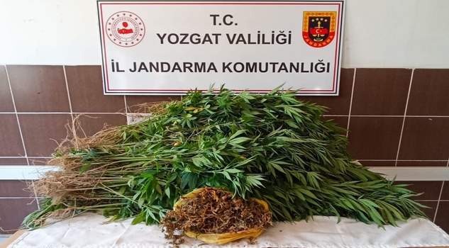 Jandarma’dan uyuşturucu operasyonu