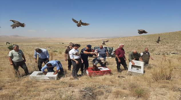 Boğazlıyan’da 350 keklik doğaya salındı