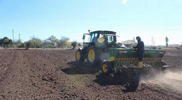 Hububat üretiminde 6. sıradayız