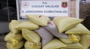 Depodan 15 çuval buğday çalan 3 şüpheli tutuklandı