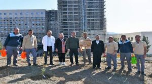 Hastanede alanındaki 500 fidanın bakımı yapıldı