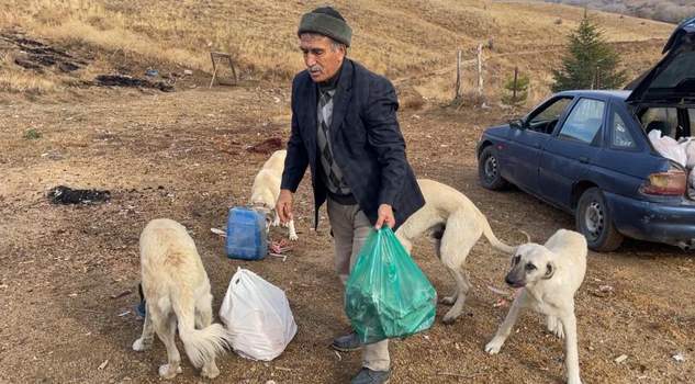Yaz kış demeden sahipsiz hayvanları besliyor