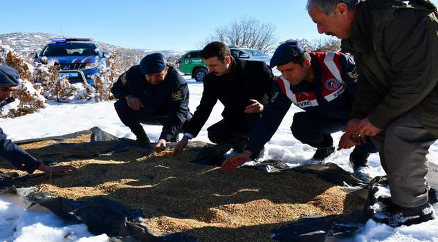 Kaymakam Açıkgöz, doğaya yiyecek bıraktı
