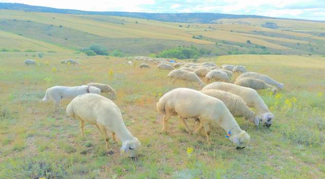 Destek alarak işini daha da büyütmek istiyor