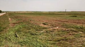 Aydın, doludan zarar gören alanları inceledi