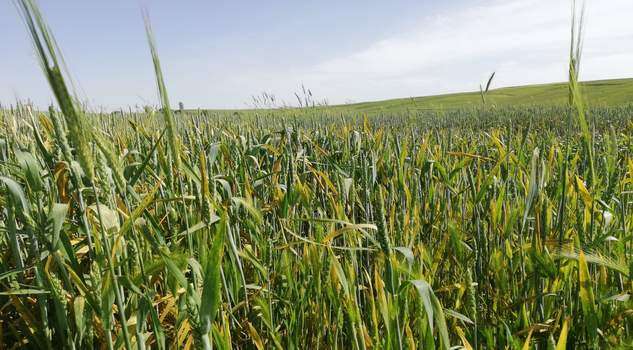 Başkan Açıkgöz, bir kez daha uyardı