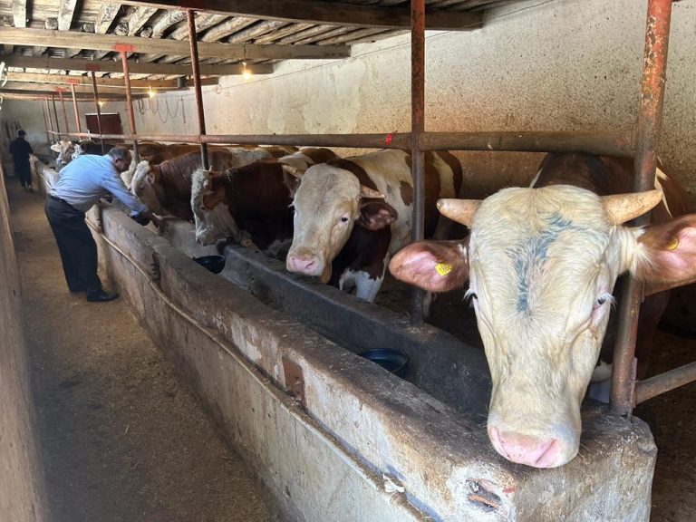 Fiyatlar vatandaşı bağışa yöneltiyor