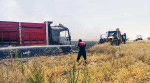 Çıkan yangında 200 dekar buğday ekili alan zarar gördü