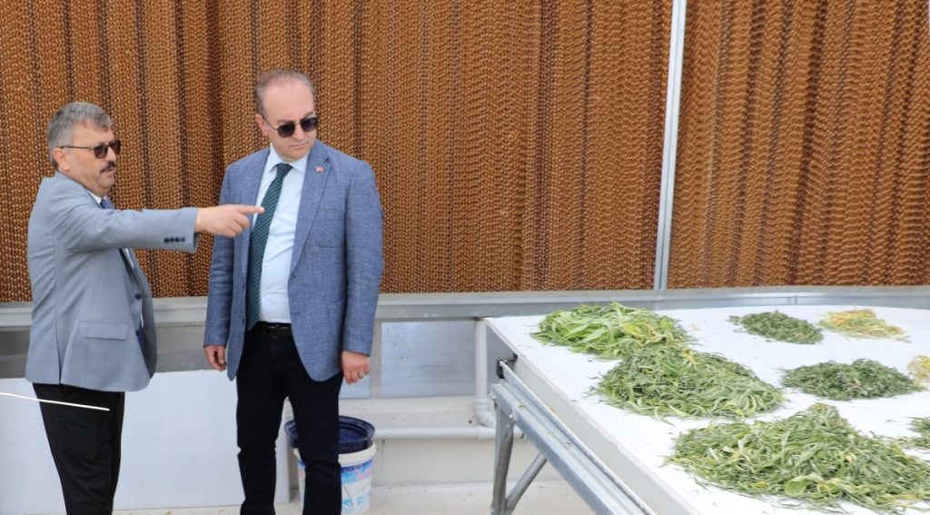 Rektör Yaşar, çalışmaları yerinde inceledi