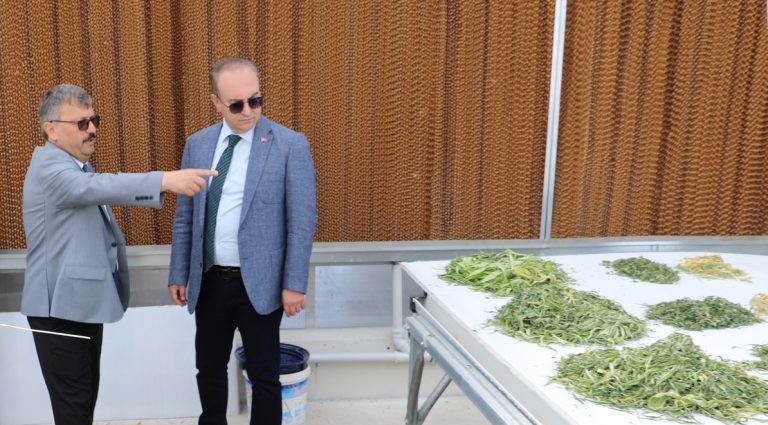 Rektör Yaşar, çalışmaları yerinde inceledi