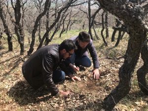 Ekipler, süne için kışlık kontrollere başladı