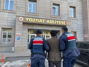 Jandarma operasyonunda aranan 11 şahıs tutuklandı