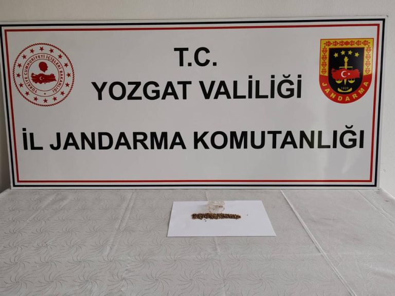 Jandarma’dan uyuşturucu operasyonu: 3 gözaltı
