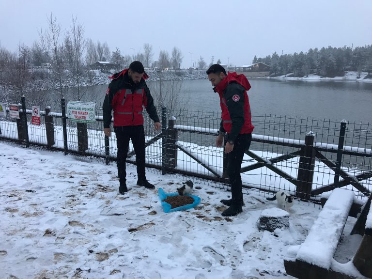Alperen Ocakları sokak hayvanlarını unutmadı