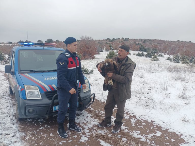 Şah Kartalı tedavi altına alındı