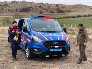  Jandarma ekipleri yaralı kızıl şahini kurtardı