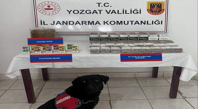 Jandarma, Kaçakçılıkla mücadeleyi sürdürüyor