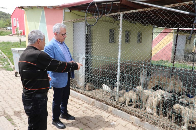 ‘EVCİL KÖY’ Projesi hayata geçiyor