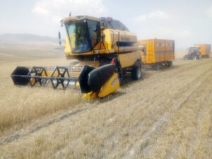 Tarımda maliyet yaklaşık yüzde 50 arttı