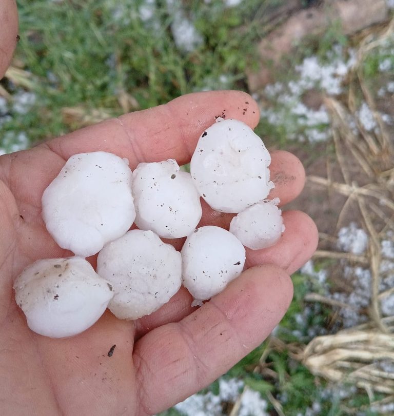 Şiddetli sağanak ve dolu ekili tarım alanlarına zarar verdi