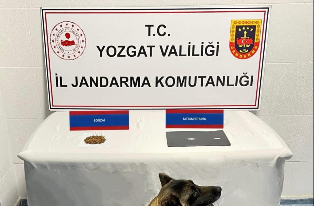 Uyuşturucu operasyonunda 2 kişi gözaltına alındı