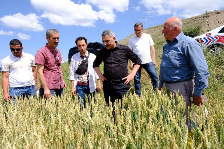 Vali Özkan, çiftçilere bereketli bir sezon diledi