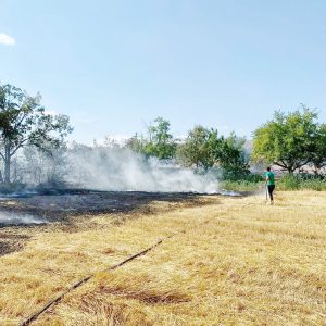 Anız yangını: 70 dönümlük alan zarar gördü