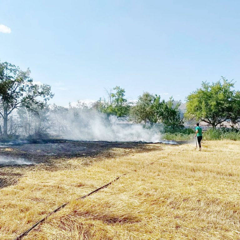 Anız yangını: 70 dönümlük alan zarar gördü