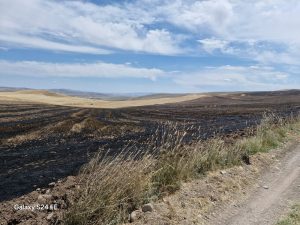 Vali Özkan’dan çiftçilere anız yangını uyarısı