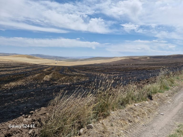 Vali Özkan’dan çiftçilere anız yangını uyarısı