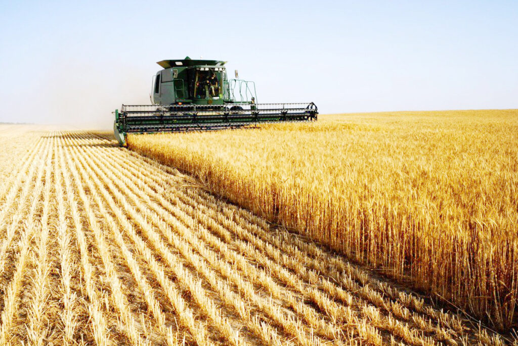 Tarım arazisini işlemeyen üreticilerin arazileri kiraya verilecek