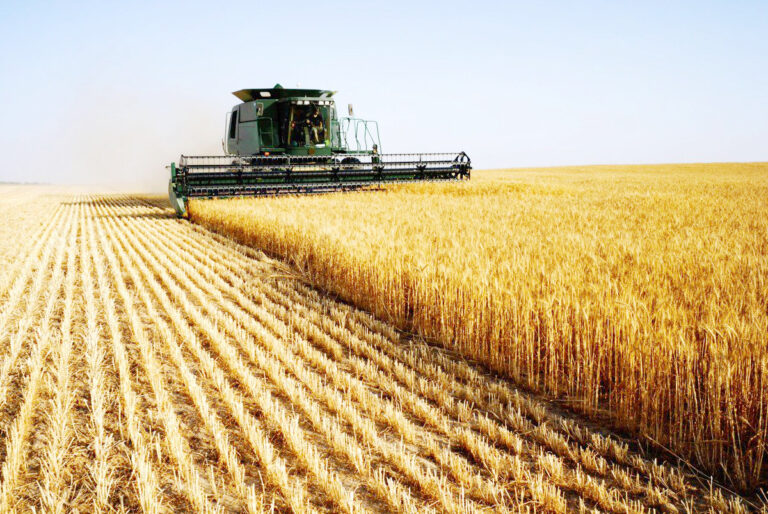 Tarım arazisini işlemeyen üreticilerin arazileri kiraya verilecek