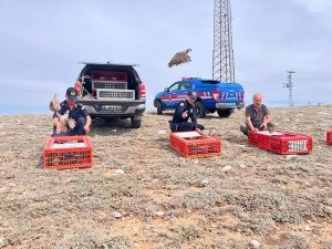 Yozgat’ta doğaya keklik salımı yapıldı