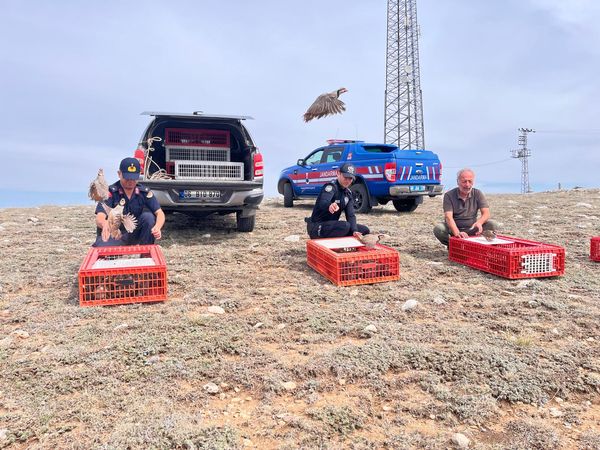 Yozgat’ta doğaya keklik salımı yapıldı