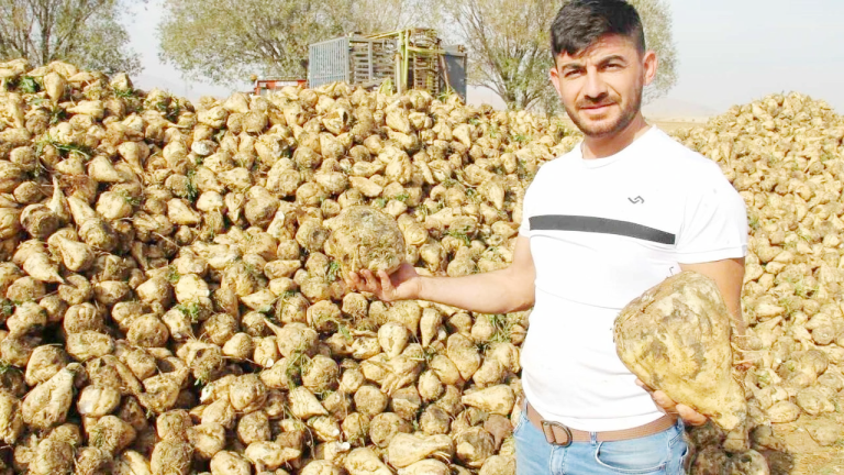 2024 yılı şeker pancarı alım fiyatı belli oldu