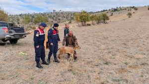 Kazankaya Kanyonu’na dağ keçisi bırakılıyor