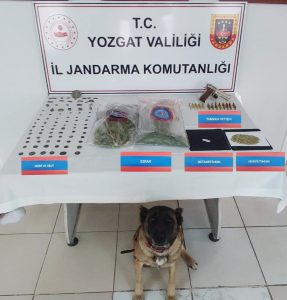 Jandarma’dan uyuşturucu operasyonu