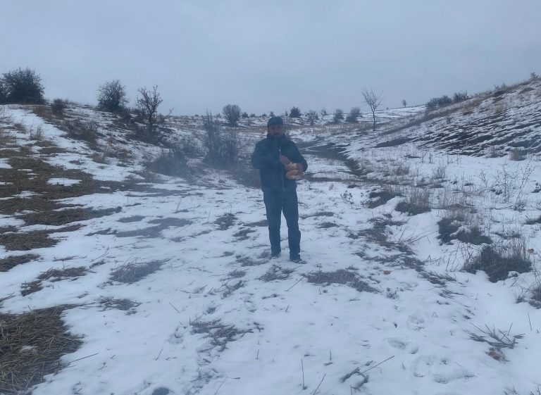 Karla kaplı alana ekmek ve yem bıraktılar