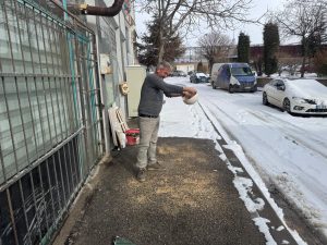 Kaldırımdaki karları temizleyip yem bıraktı