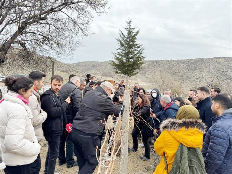 Üreticilere uygulamalı budama eğitimi