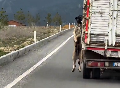 “Sürücü hakkında adli işlem başlatıldı”