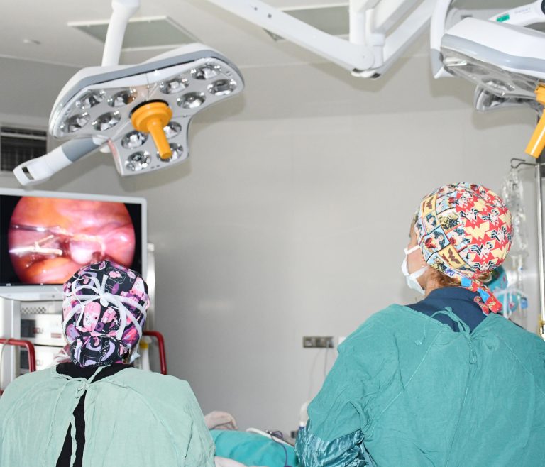 Karın ağrısıyla geldi dev kitle çıktı