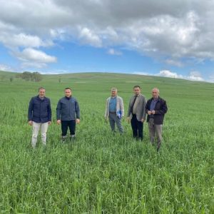 Dolu zararı sonrası hasar tespit çalışmaları sürüyor