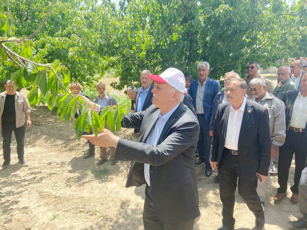 Meyve bahçelerinde yüzde 100’e varan zarar