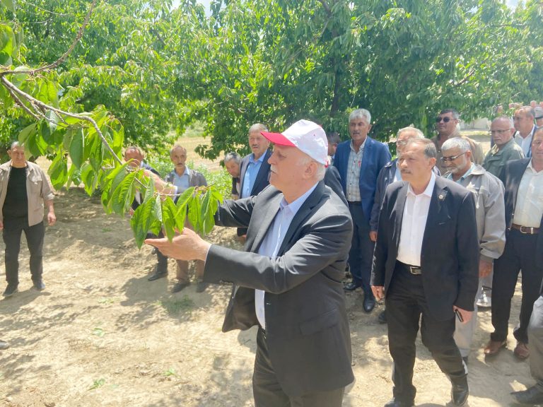 Meyve bahçelerinde yüzde 100’e varan zarar